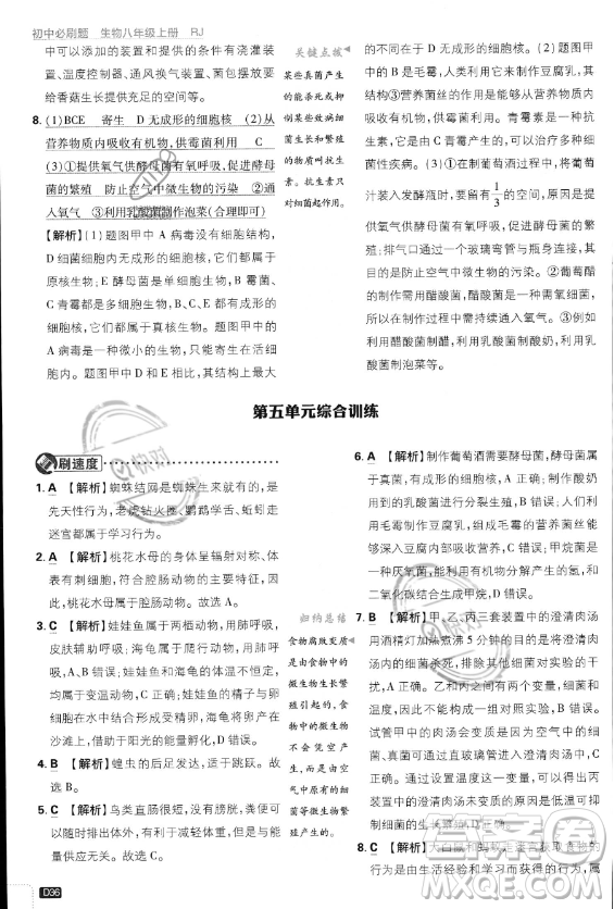 開(kāi)明出版社2024屆初中必刷題八年級(jí)上冊(cè)生物人教版答案