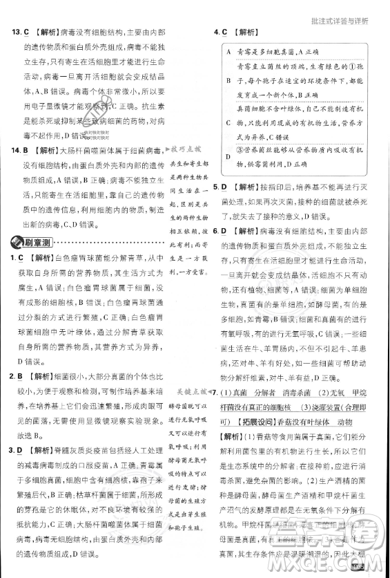 開(kāi)明出版社2024屆初中必刷題八年級(jí)上冊(cè)生物人教版答案