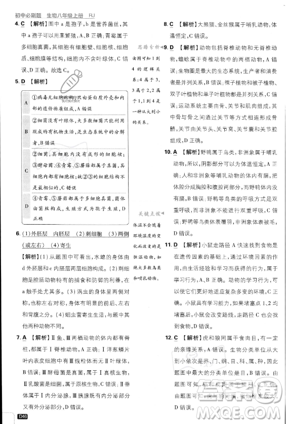 開(kāi)明出版社2024屆初中必刷題八年級(jí)上冊(cè)生物人教版答案