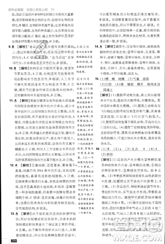 開(kāi)明出版社2024屆初中必刷題八年級(jí)上冊(cè)生物人教版答案