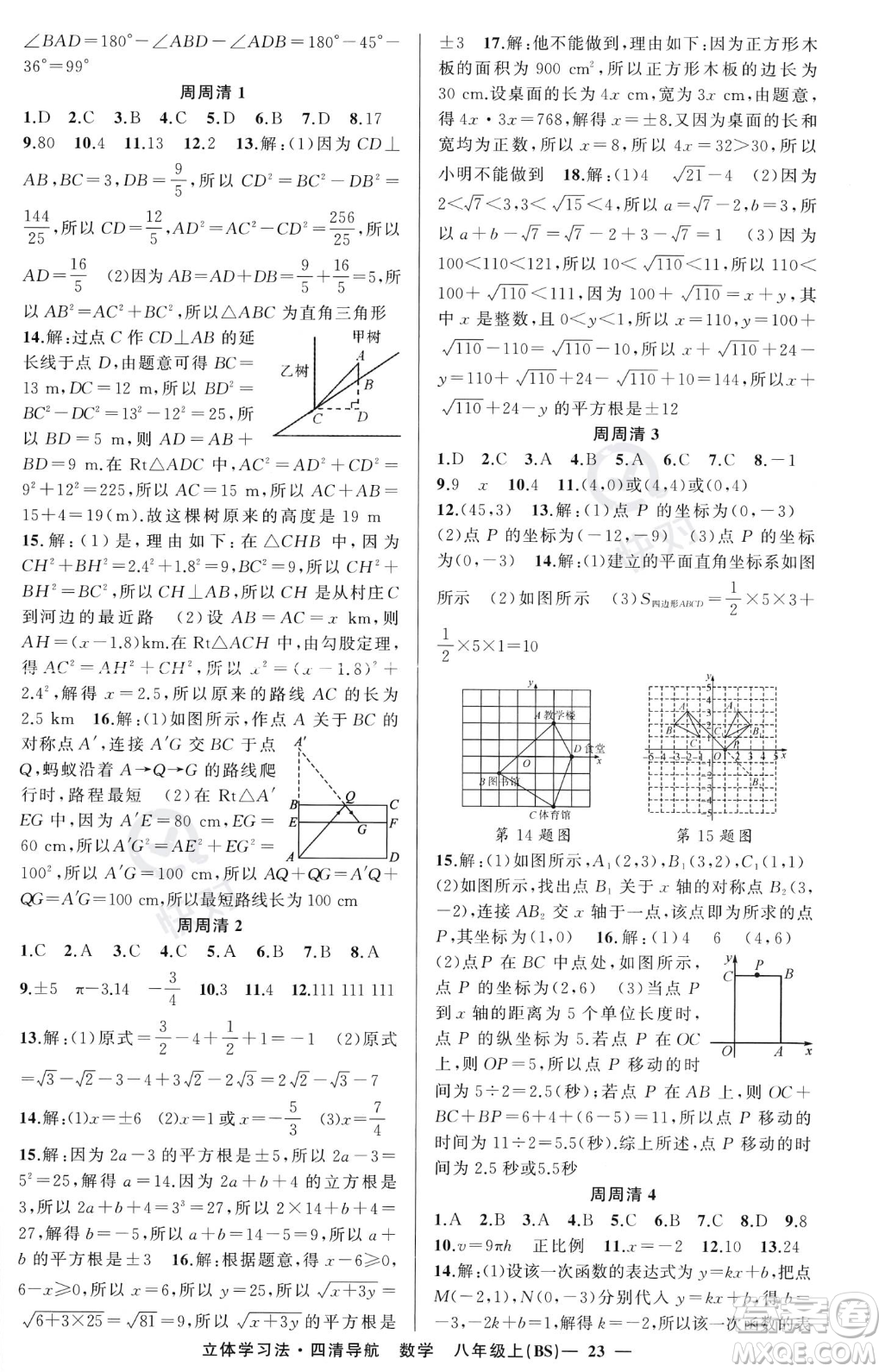 新疆青少年出版社2023年秋季四清導(dǎo)航八年級(jí)上冊數(shù)學(xué)北師大版遼寧專版答案