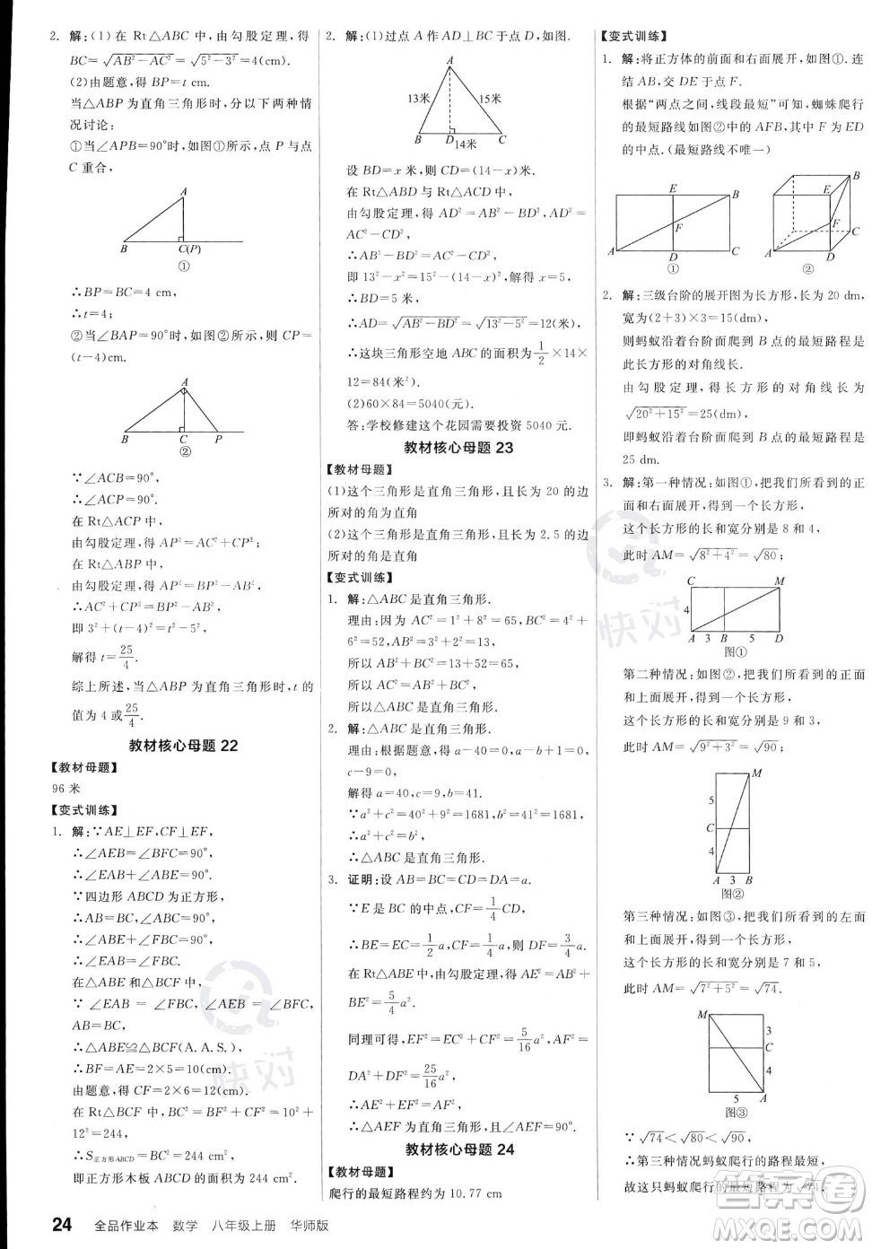 陽光出版社2023年秋季全品作業(yè)本八年級(jí)上冊(cè)數(shù)學(xué)華師版答案