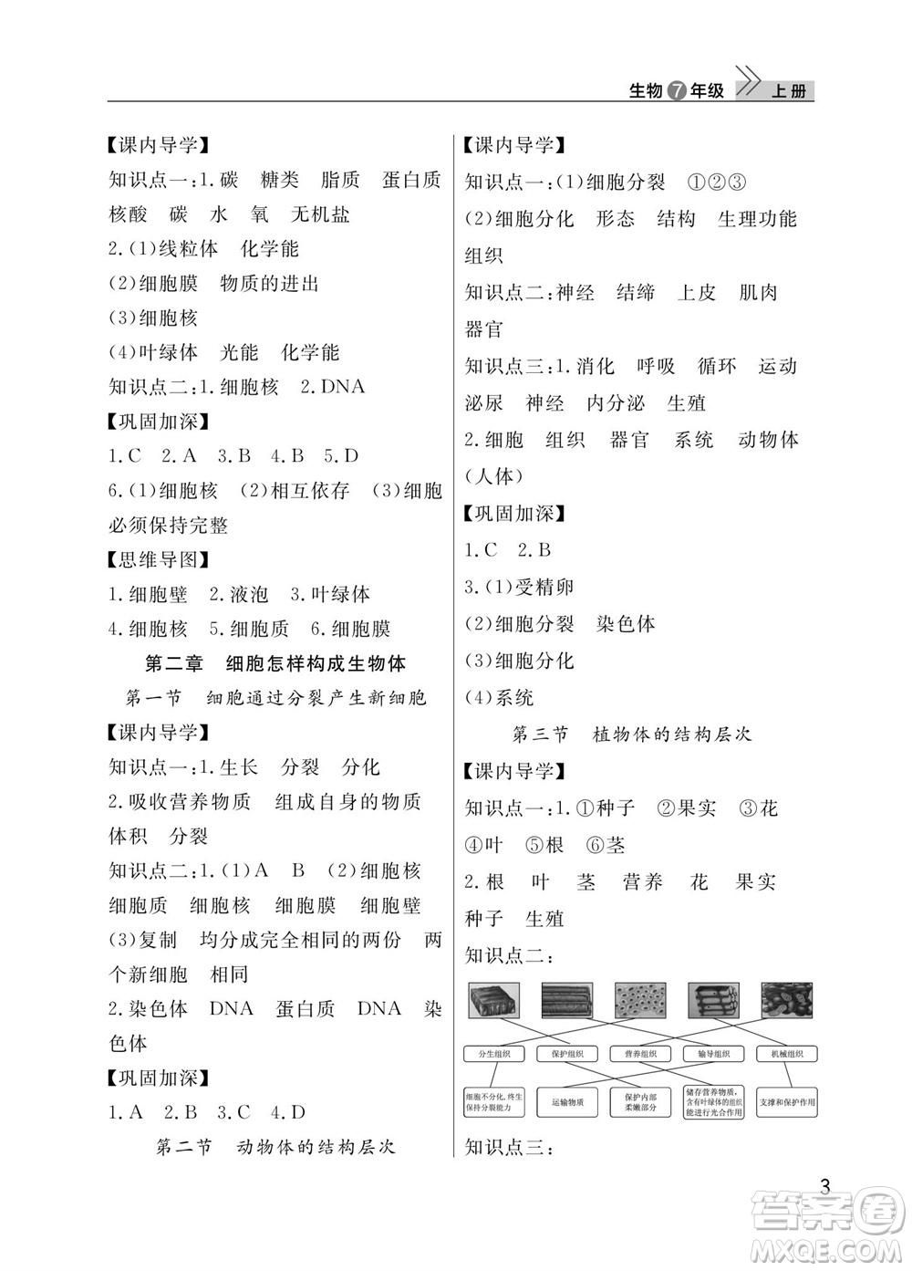 武漢出版社2023年秋智慧學(xué)習(xí)天天向上課堂作業(yè)七年級生物上冊人教版參考答案