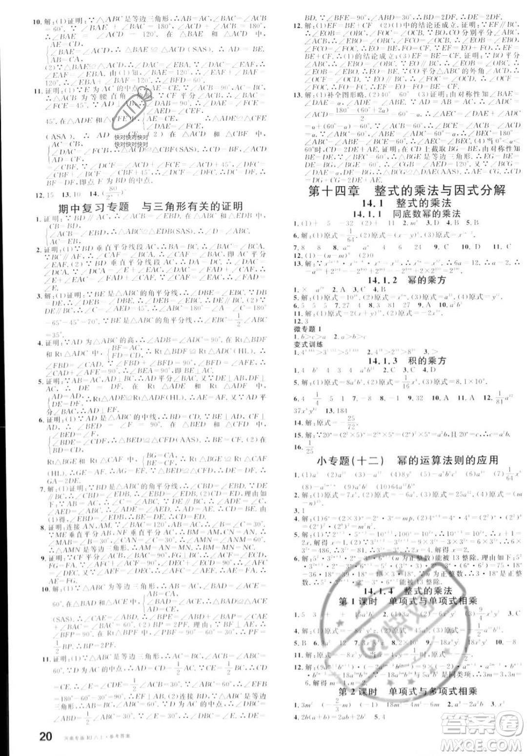 開明出版社2023年秋名校課堂八年級上冊數(shù)學人教版河南專版答案