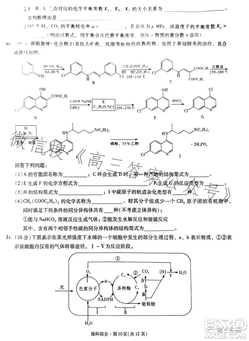 昆明市第一中學(xué)2024屆高中新課標(biāo)高三第一次摸底測(cè)試?yán)砜凭C合答案