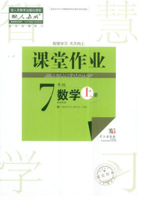 武漢出版社2023年秋智慧學習天天向上課堂作業(yè)七年級數學上冊人教版參考答案