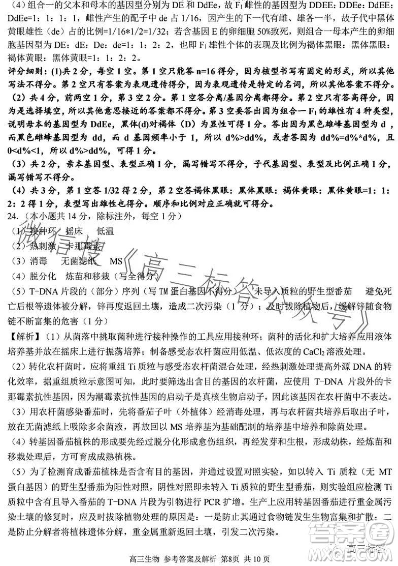 2023學(xué)年第一學(xué)期浙江省七彩陽光新高考研究聯(lián)盟返校聯(lián)考高三生物試題答案