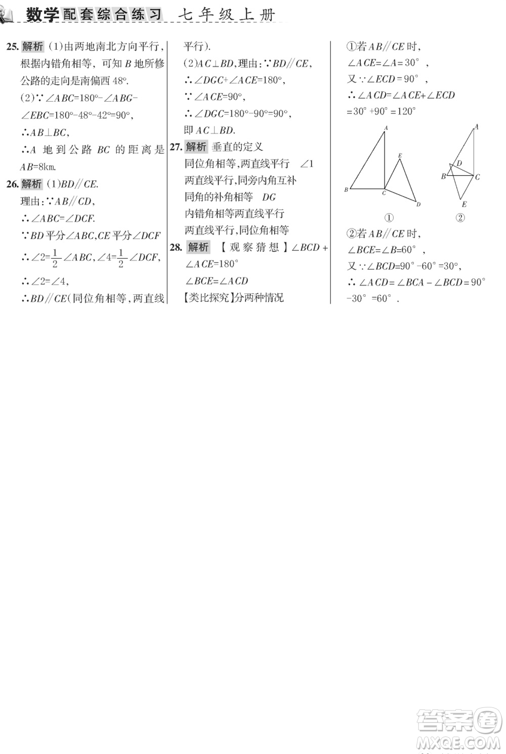 甘肅文化出版社2023年秋配套綜合練習(xí)七年級(jí)數(shù)學(xué)上冊(cè)華師大版參考答案