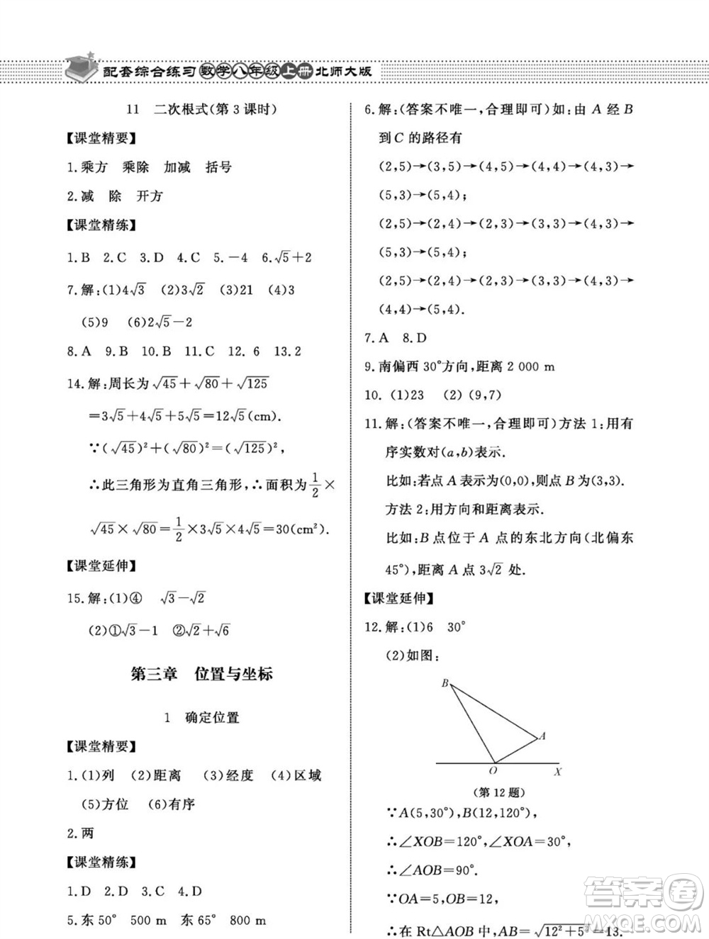 北京師范大學出版社2023年秋配套綜合練習八年級數(shù)學上冊北師大版參考答案