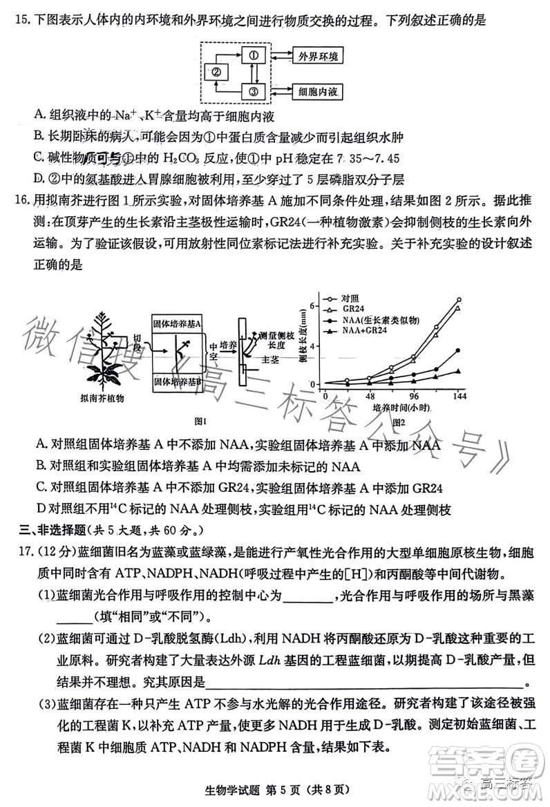 炎德英才大聯(lián)考2024屆高三第一次質量檢測生物學試卷答案