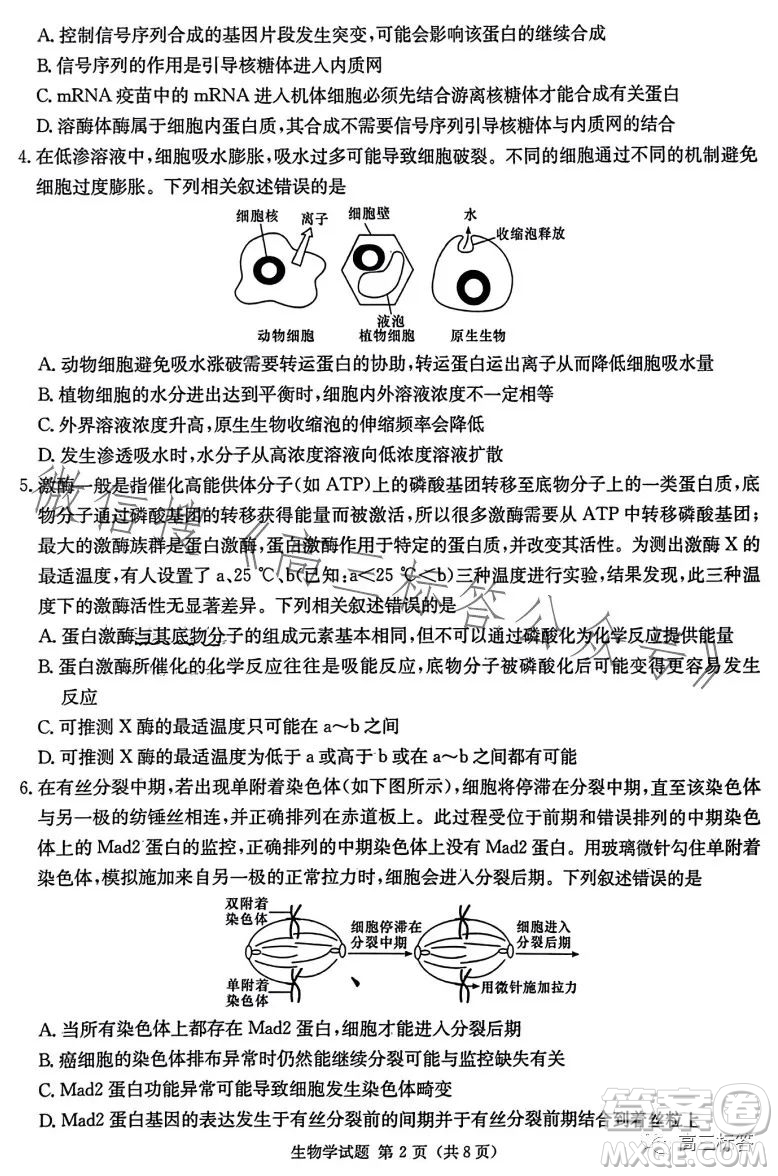 炎德英才大聯(lián)考2024屆高三第一次質量檢測生物學試卷答案
