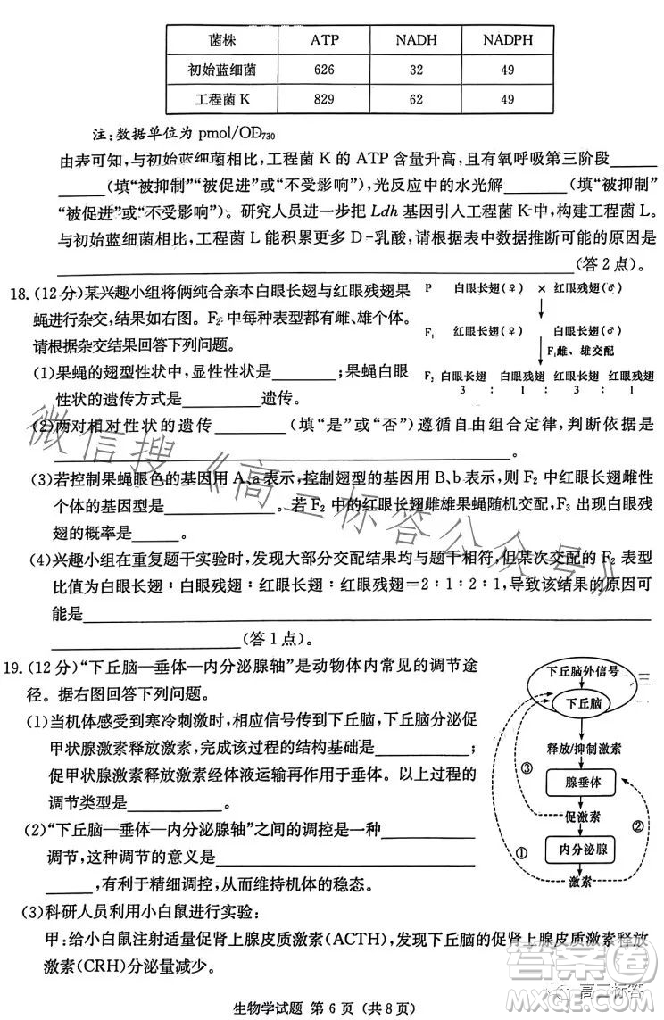 炎德英才大聯(lián)考2024屆高三第一次質量檢測生物學試卷答案