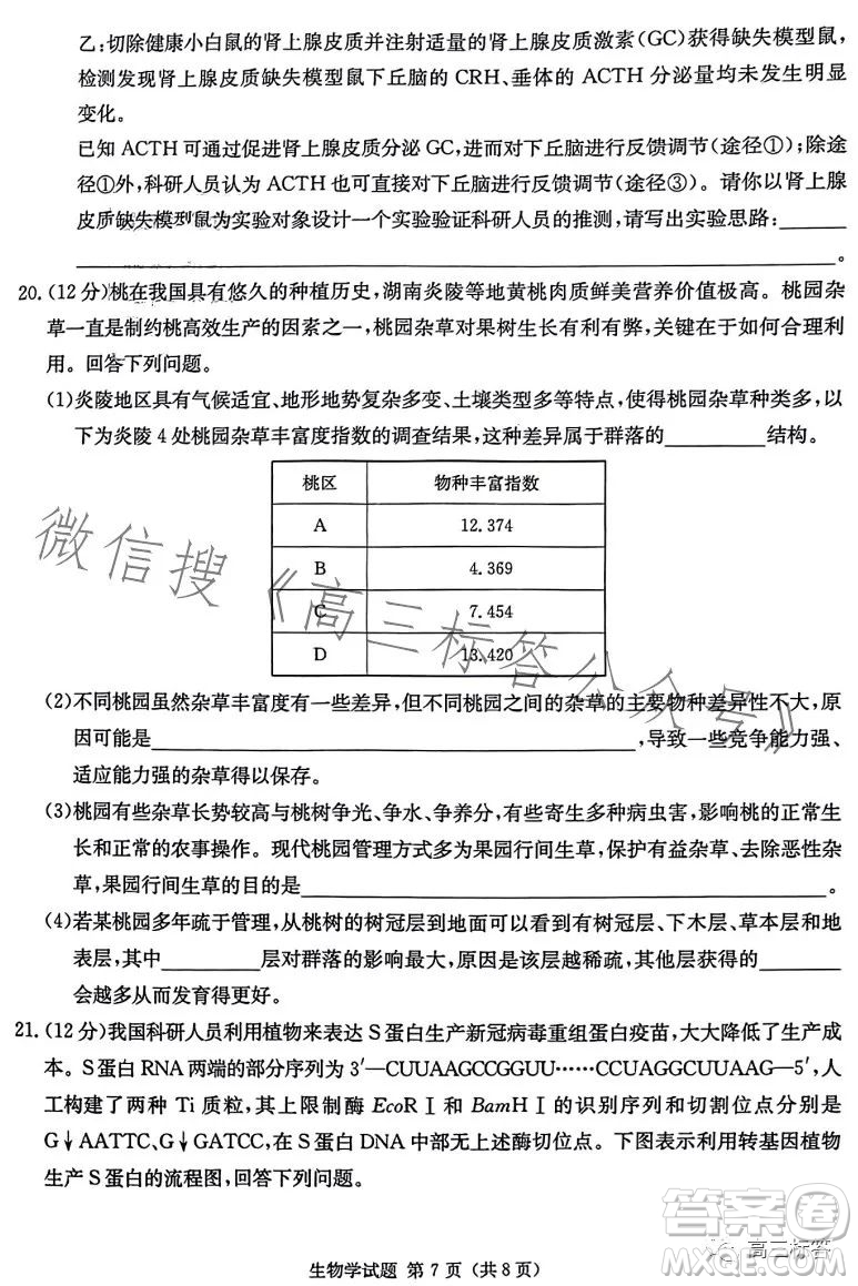 炎德英才大聯(lián)考2024屆高三第一次質量檢測生物學試卷答案