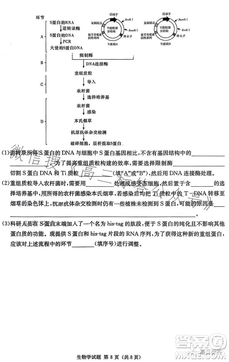炎德英才大聯(lián)考2024屆高三第一次質量檢測生物學試卷答案