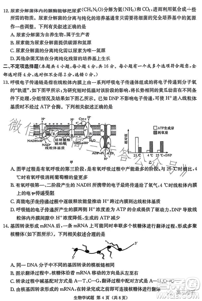 炎德英才大聯(lián)考2024屆高三第一次質量檢測生物學試卷答案