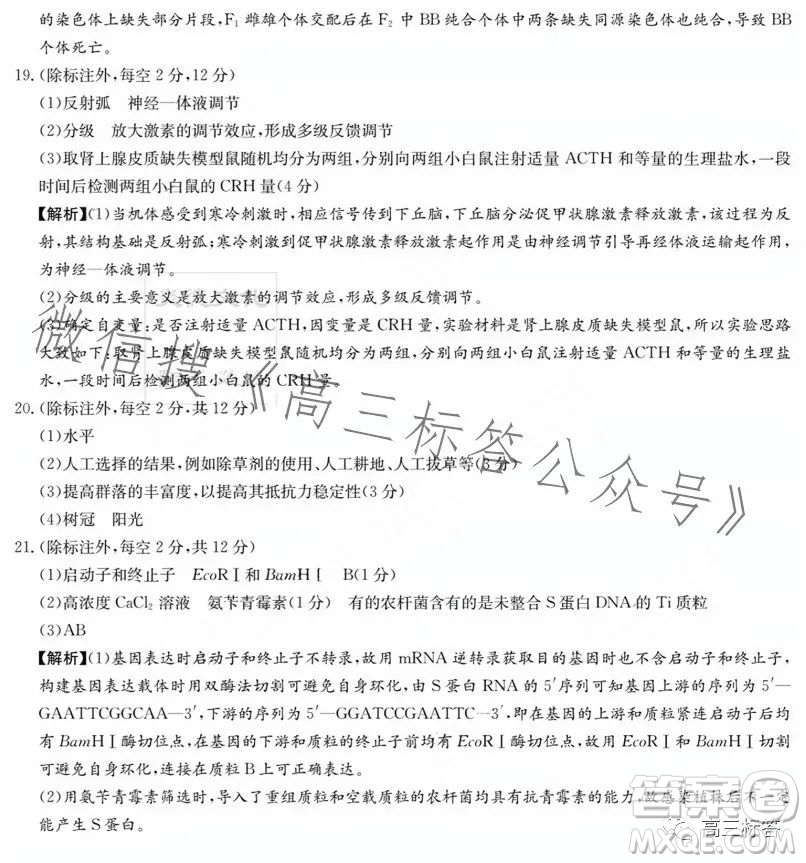 炎德英才大聯(lián)考2024屆高三第一次質量檢測生物學試卷答案