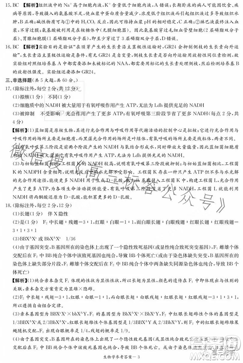 炎德英才大聯(lián)考2024屆高三第一次質量檢測生物學試卷答案
