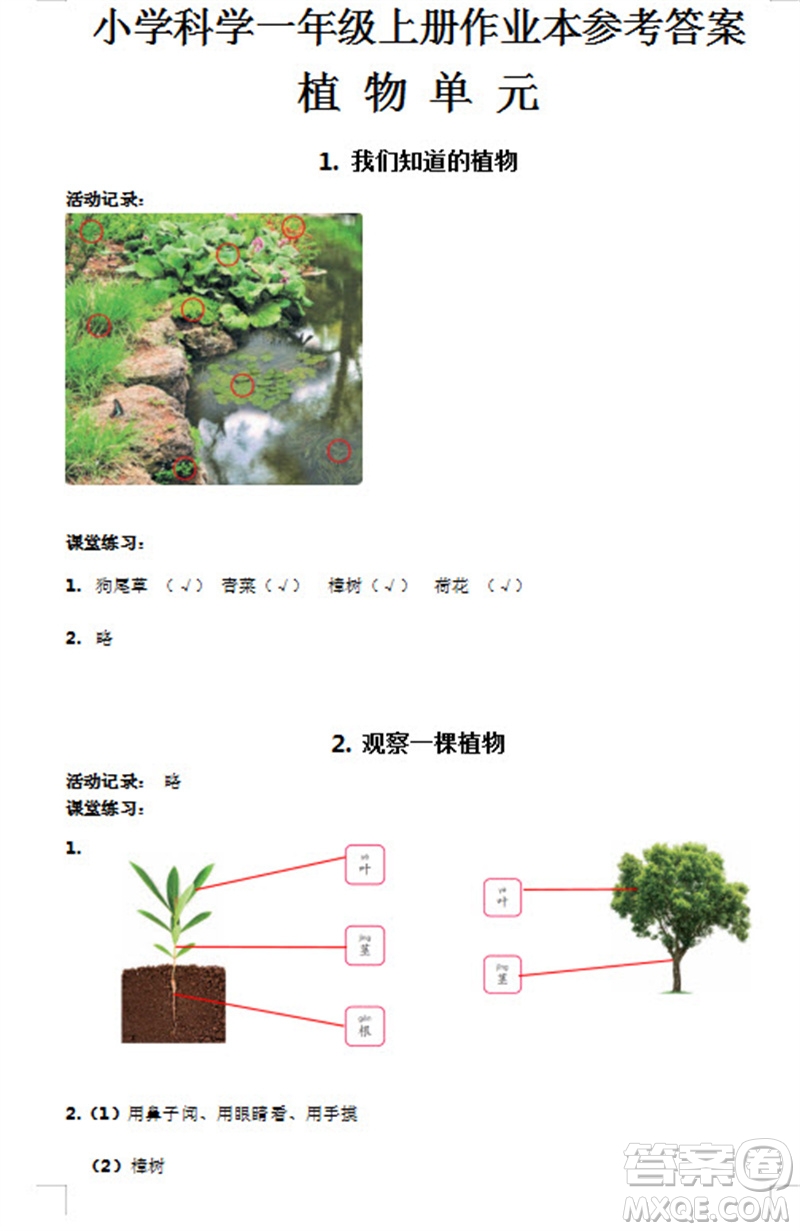 浙江教育出版社2023年秋科學(xué)課堂作業(yè)本一年級(jí)上冊(cè)教科版參考答案