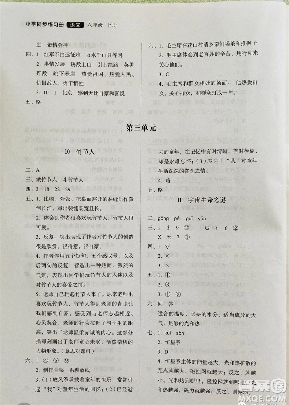 山東人民出版社2023年秋小學(xué)同步練習(xí)冊六年級語文上冊人教版參考答案