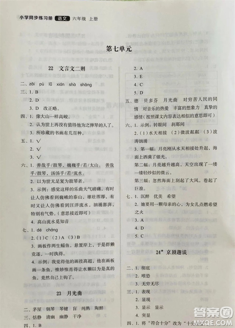 山東人民出版社2023年秋小學(xué)同步練習(xí)冊六年級語文上冊人教版參考答案