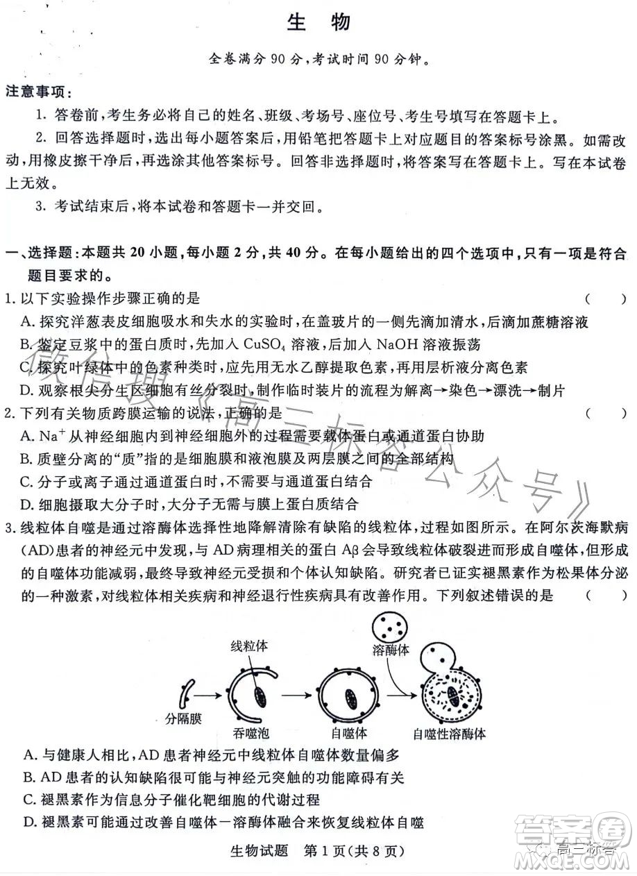 2024屆普通高等學校招生全國統(tǒng)一考試青桐鳴大聯(lián)考9月高三生物試卷答案