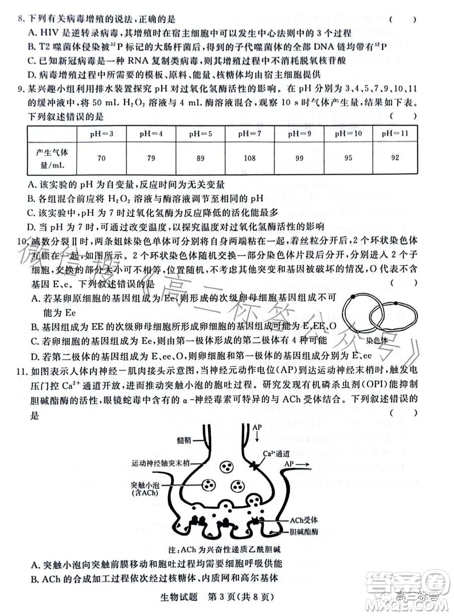 2024屆普通高等學校招生全國統(tǒng)一考試青桐鳴大聯(lián)考9月高三生物試卷答案