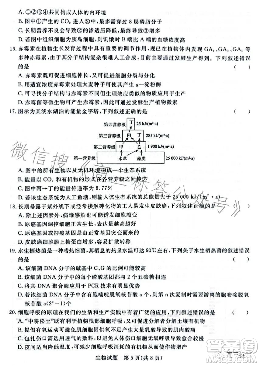 2024屆普通高等學校招生全國統(tǒng)一考試青桐鳴大聯(lián)考9月高三生物試卷答案
