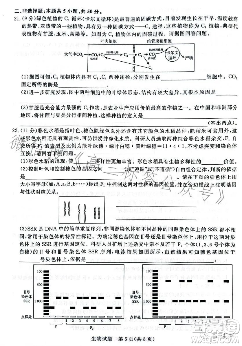 2024屆普通高等學校招生全國統(tǒng)一考試青桐鳴大聯(lián)考9月高三生物試卷答案