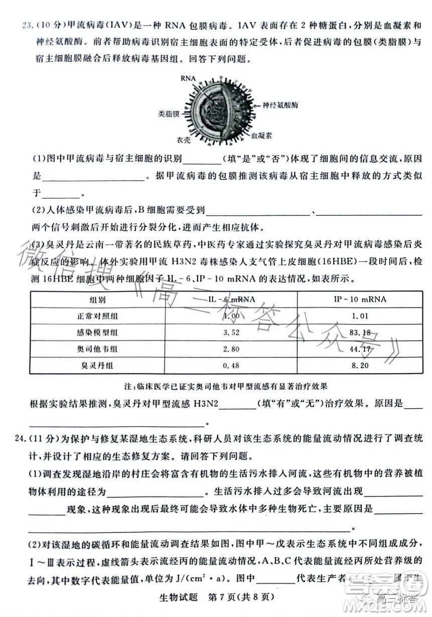 2024屆普通高等學校招生全國統(tǒng)一考試青桐鳴大聯(lián)考9月高三生物試卷答案