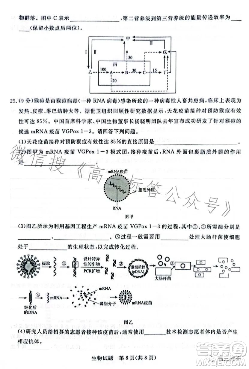 2024屆普通高等學校招生全國統(tǒng)一考試青桐鳴大聯(lián)考9月高三生物試卷答案