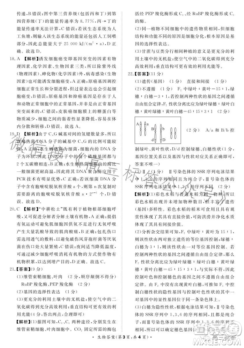 2024屆普通高等學校招生全國統(tǒng)一考試青桐鳴大聯(lián)考9月高三生物試卷答案