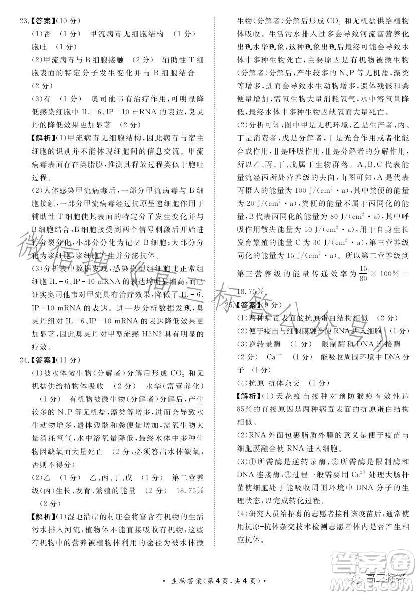 2024屆普通高等學校招生全國統(tǒng)一考試青桐鳴大聯(lián)考9月高三生物試卷答案