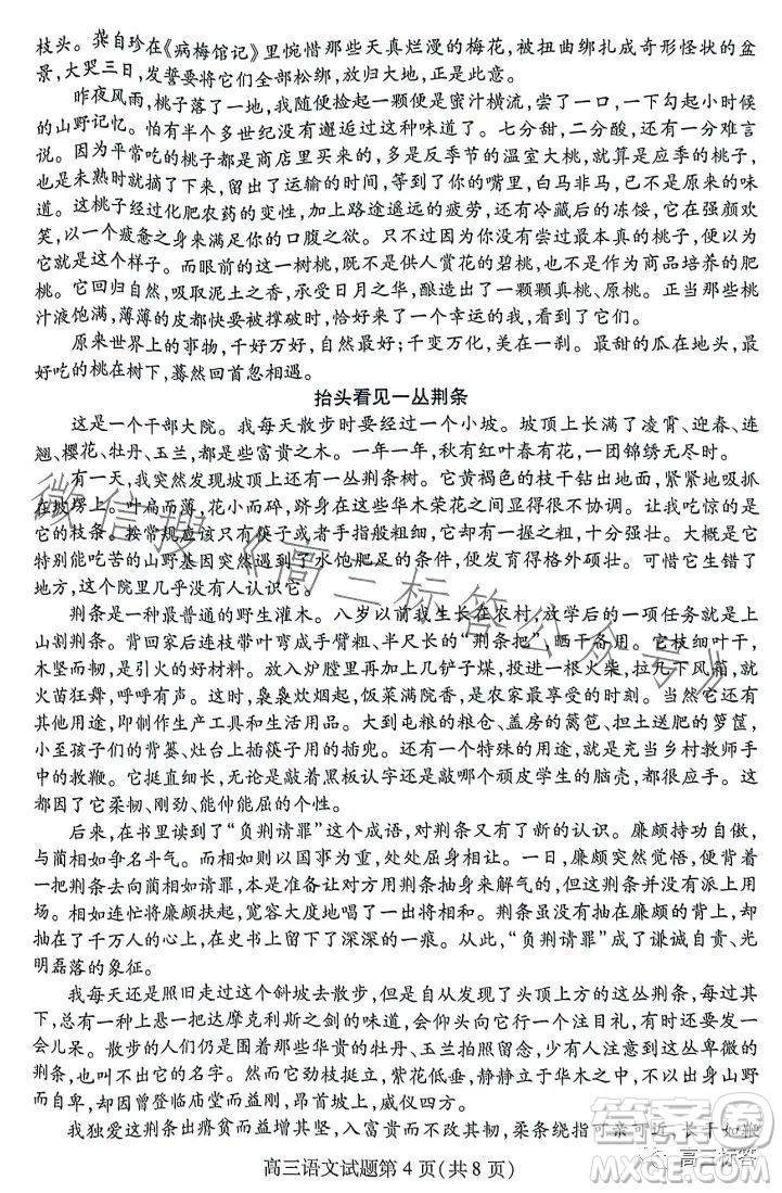 2024山東新高考聯(lián)合質(zhì)量測(cè)評(píng)9月聯(lián)考高三語文試題答案