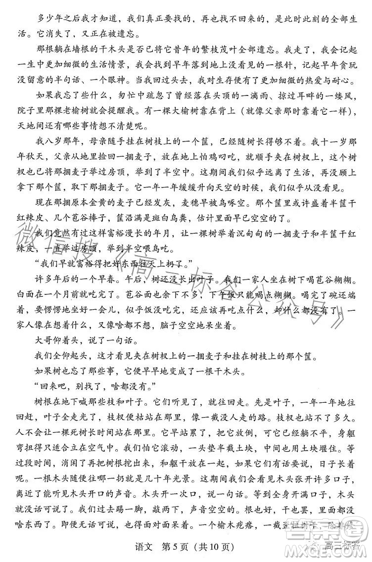 廣東省2024屆普通高中畢業(yè)班第一次調(diào)研考試語文試卷答案