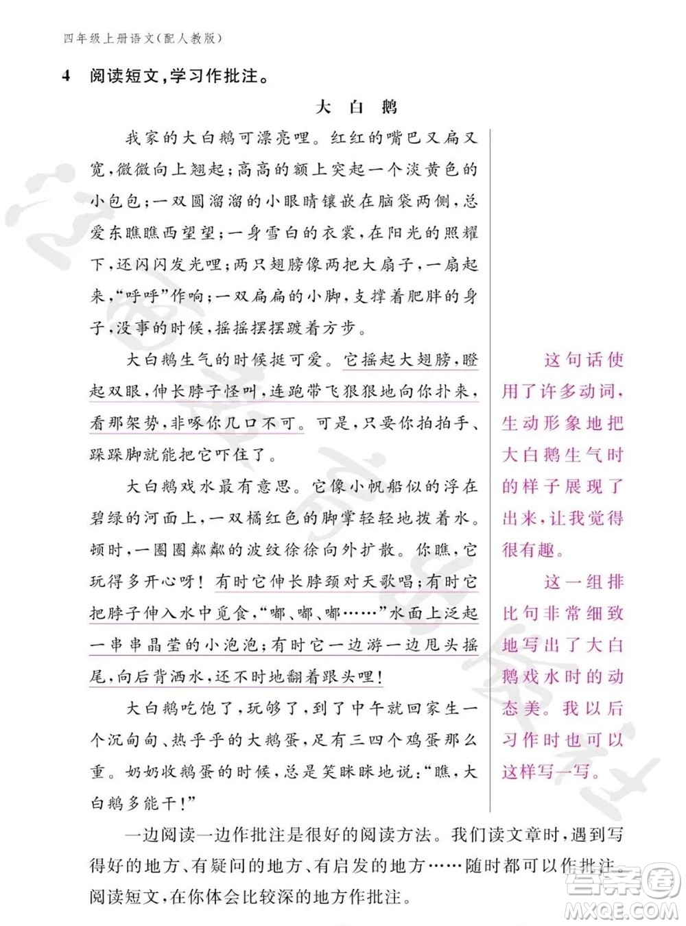 江西教育出版社2023年秋語文作業(yè)本四年級(jí)上冊(cè)人教版參考答案