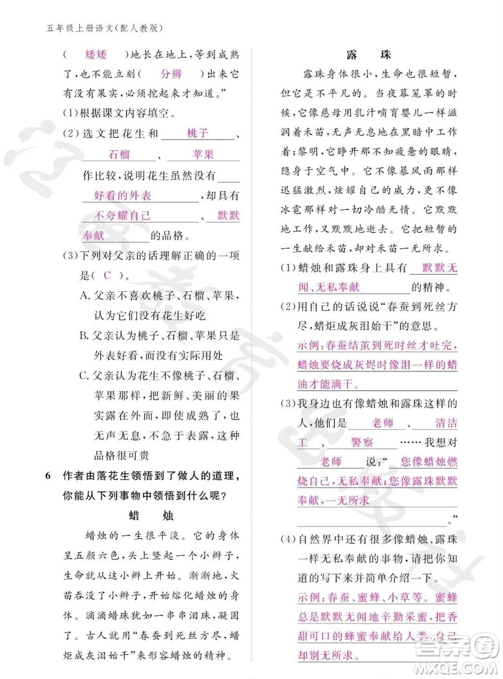 江西教育出版社2023年秋語文作業(yè)本五年級上冊人教版參考答案