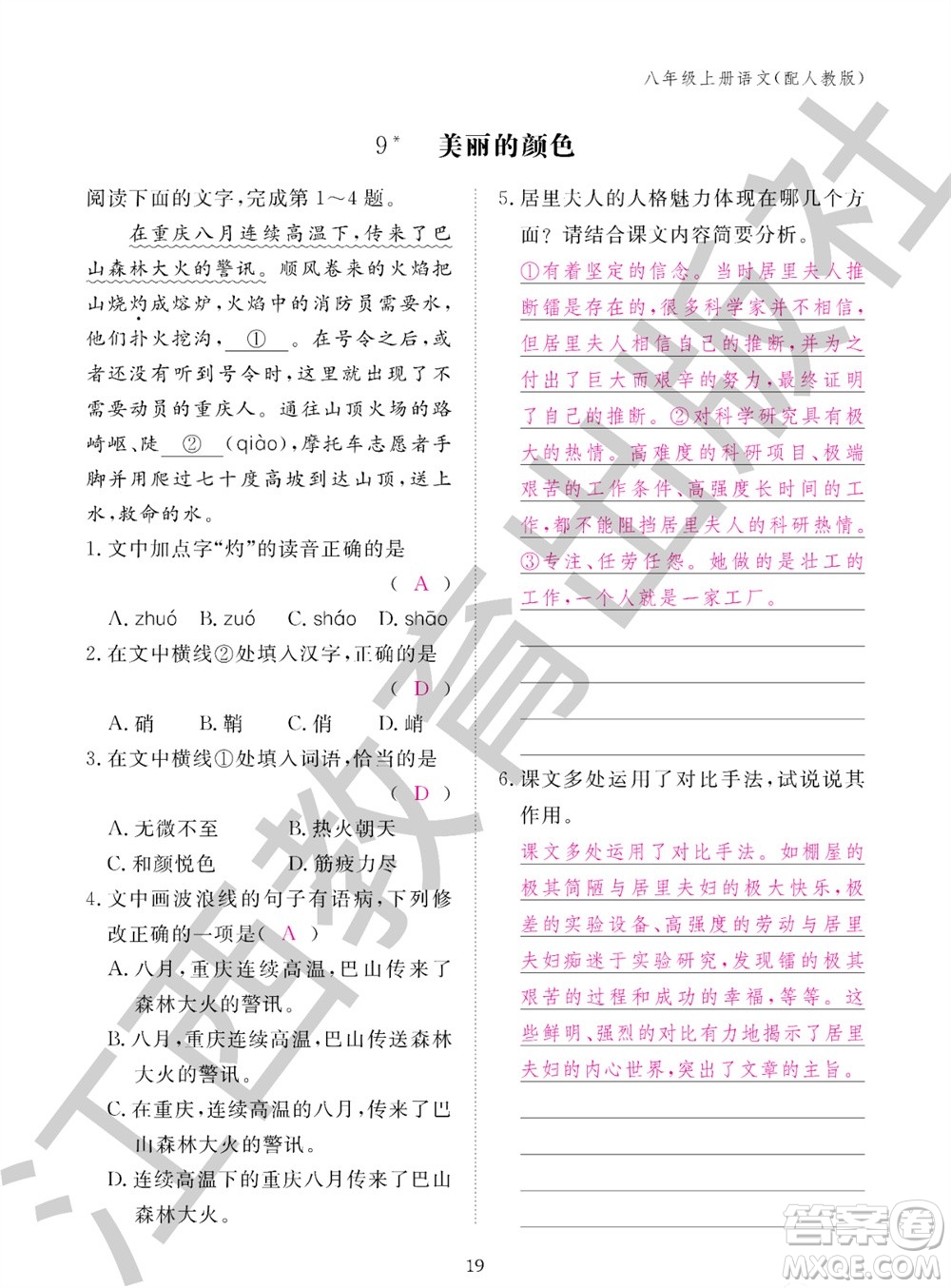 江西教育出版社2023年秋語文作業(yè)本八年級上冊人教版參考答案