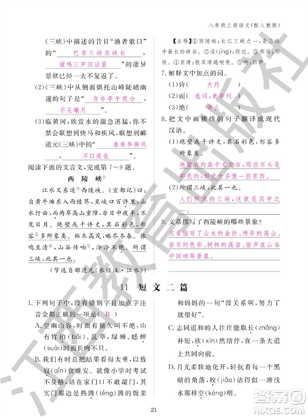 江西教育出版社2023年秋語文作業(yè)本八年級上冊人教版參考答案