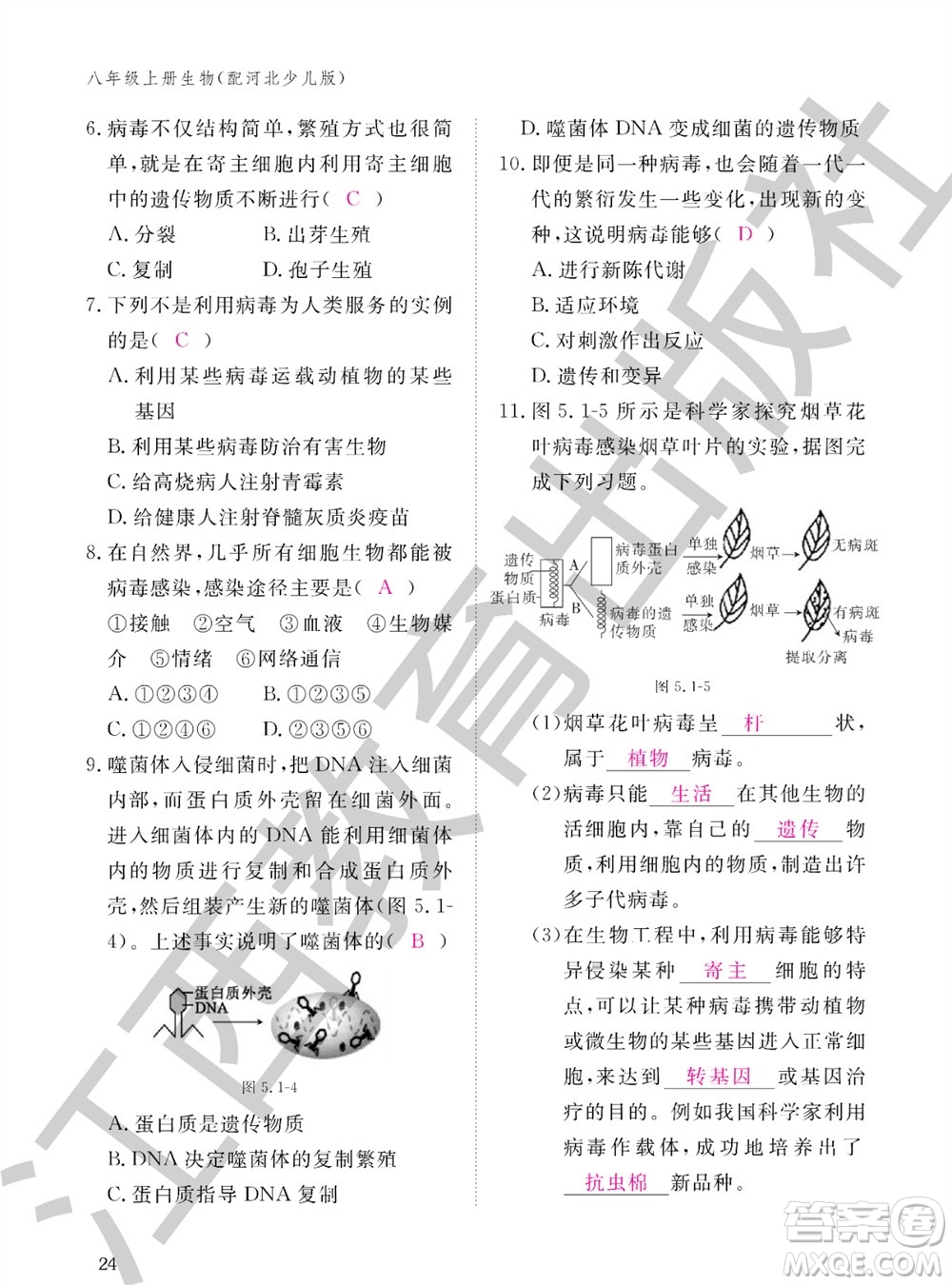 江西教育出版社2023年秋生物作業(yè)本八年級上冊冀少版參考答案