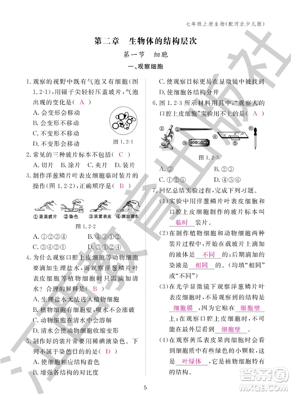 江西教育出版社2023年秋生物作業(yè)本七年級上冊冀少版參考答案
