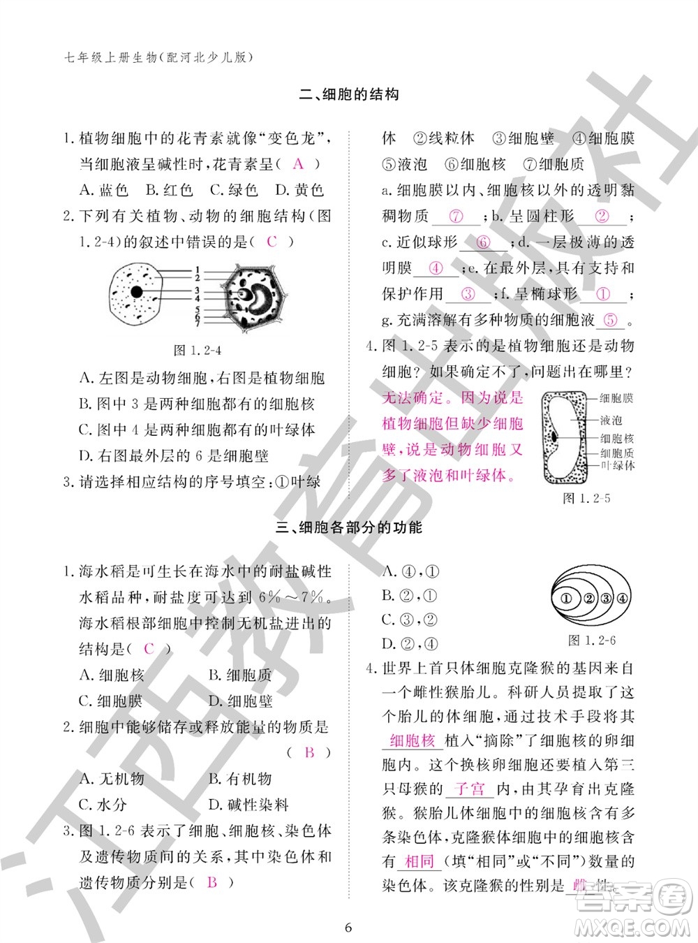 江西教育出版社2023年秋生物作業(yè)本七年級上冊冀少版參考答案
