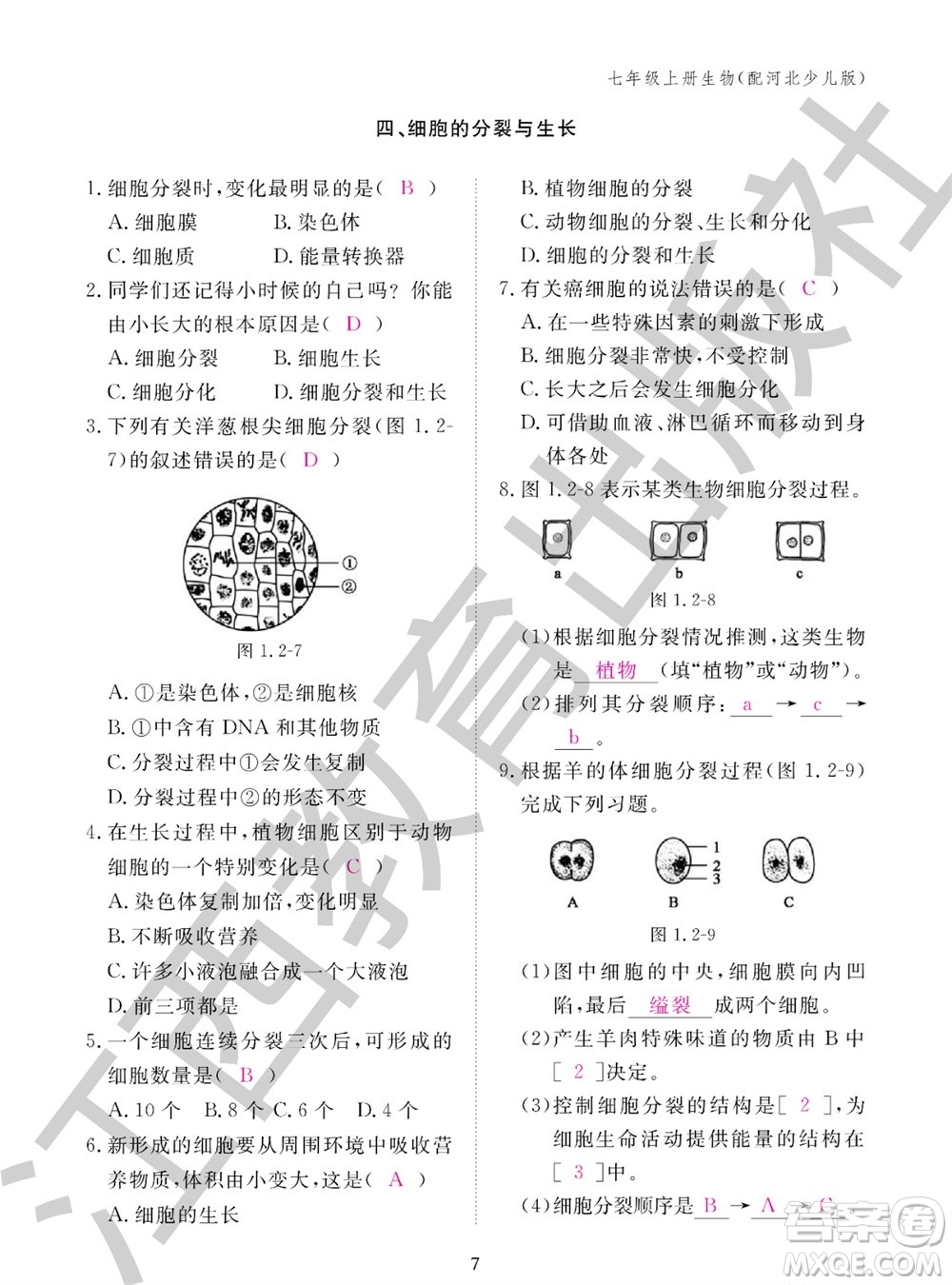 江西教育出版社2023年秋生物作業(yè)本七年級上冊冀少版參考答案