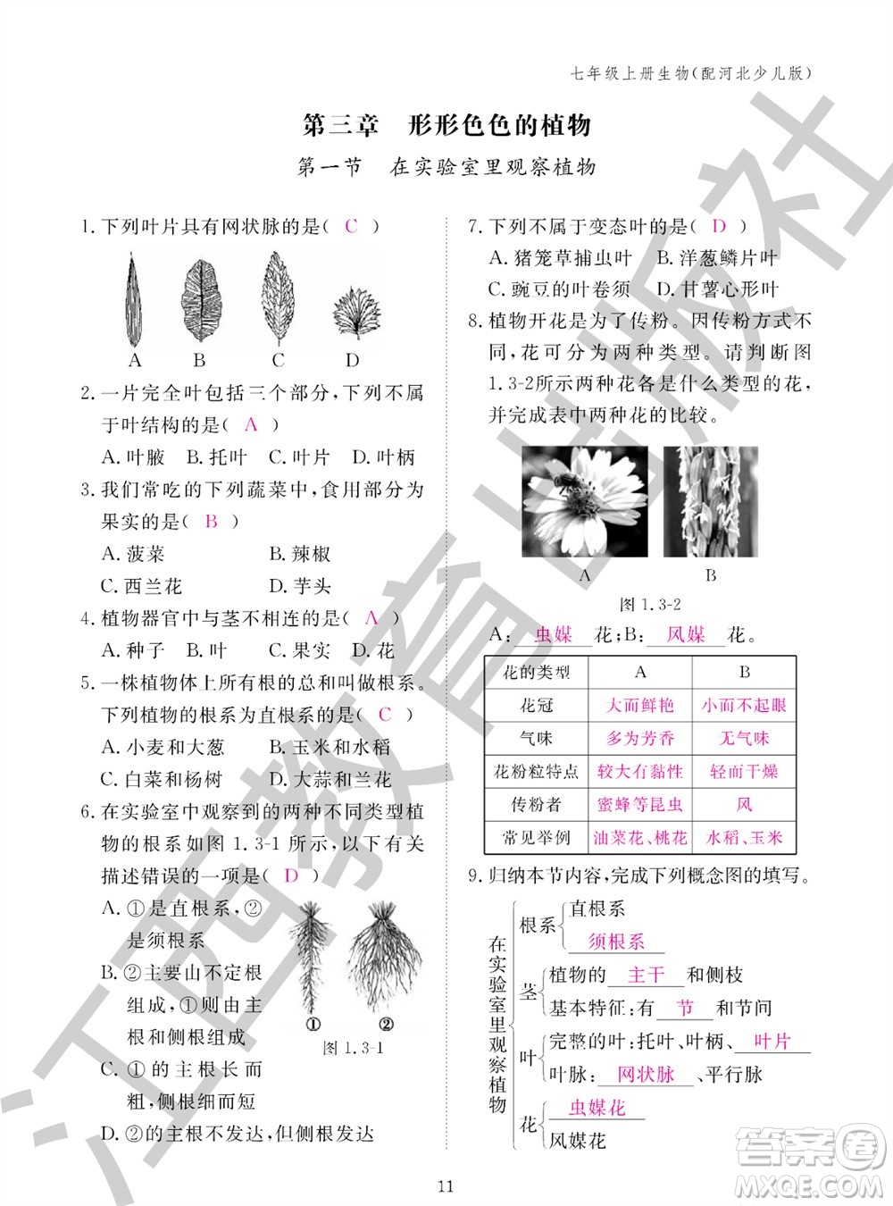 江西教育出版社2023年秋生物作業(yè)本七年級上冊冀少版參考答案