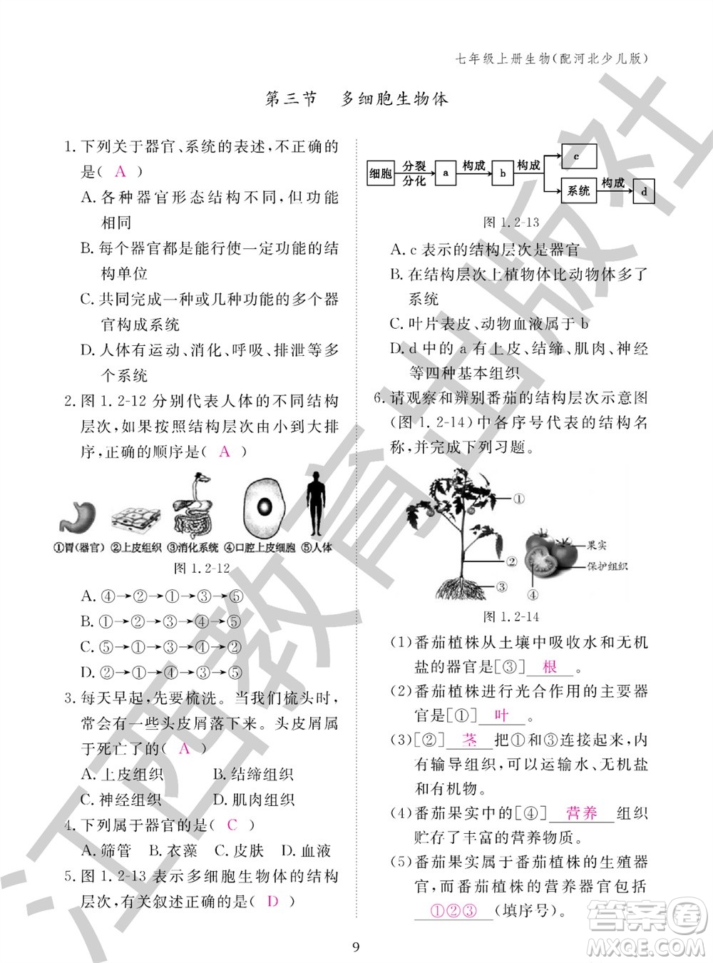 江西教育出版社2023年秋生物作業(yè)本七年級上冊冀少版參考答案