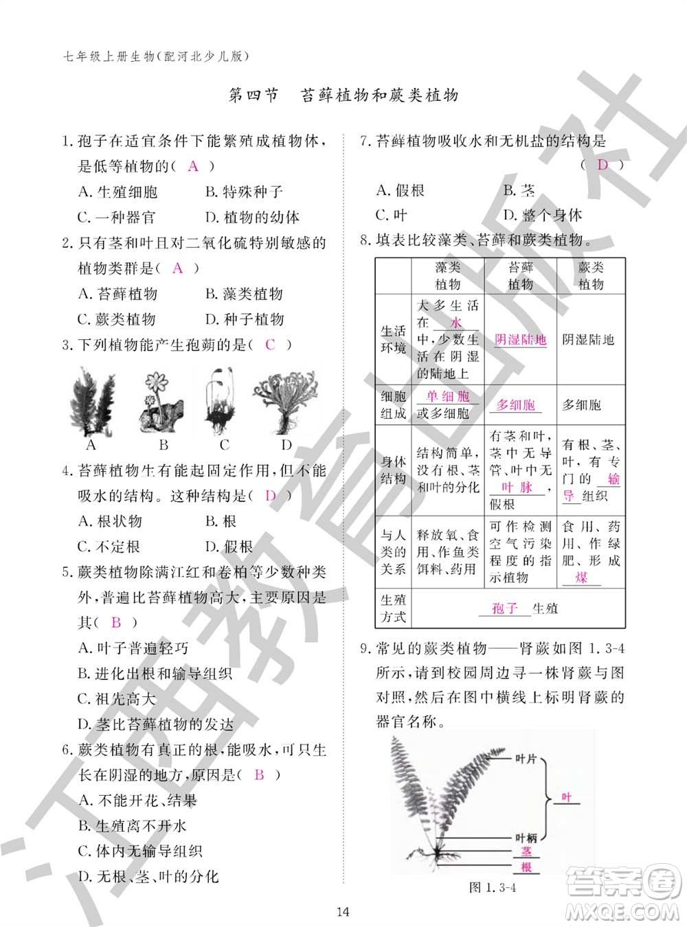 江西教育出版社2023年秋生物作業(yè)本七年級上冊冀少版參考答案