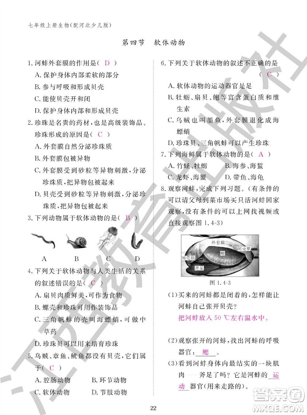 江西教育出版社2023年秋生物作業(yè)本七年級上冊冀少版參考答案