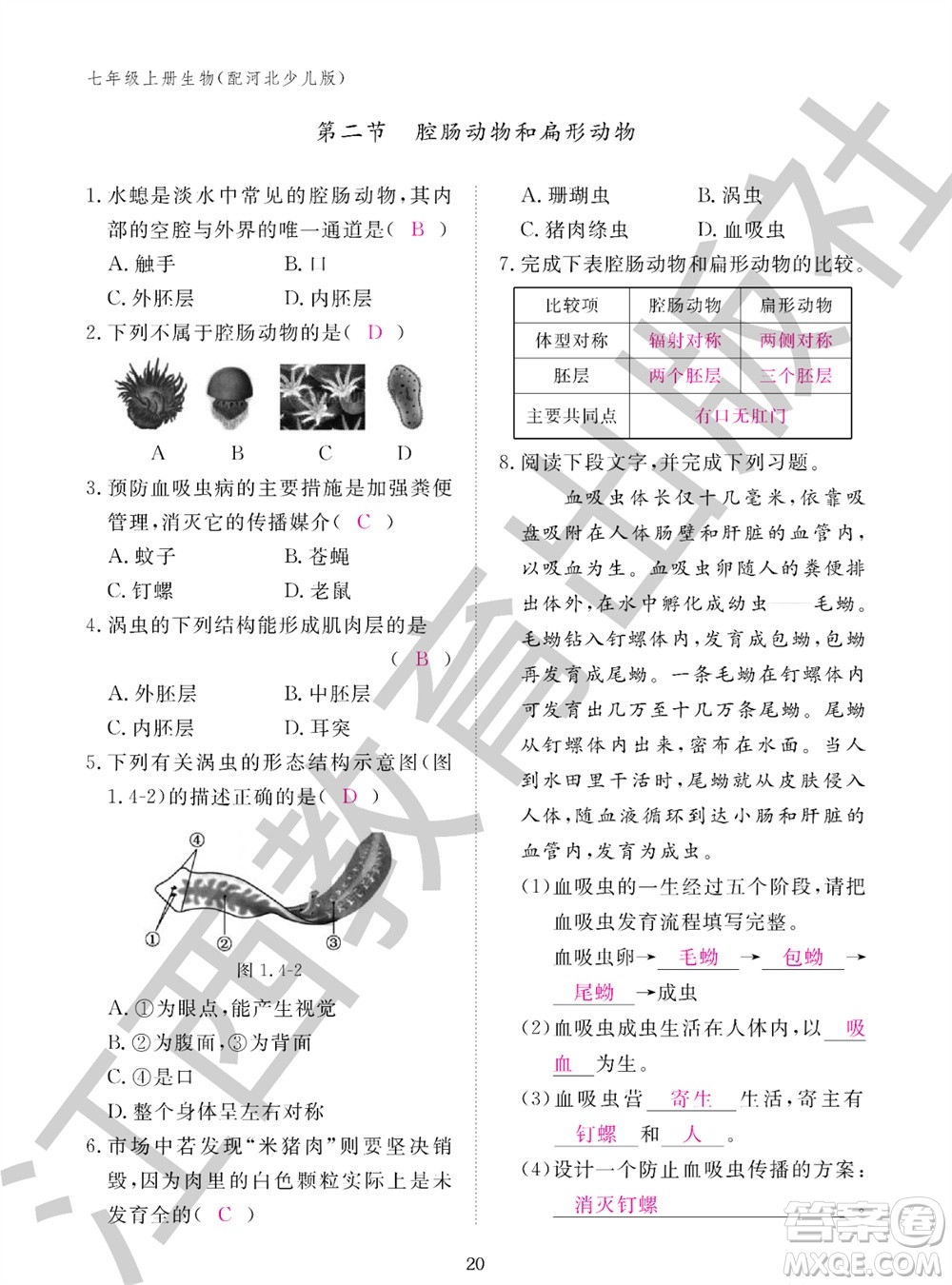 江西教育出版社2023年秋生物作業(yè)本七年級上冊冀少版參考答案