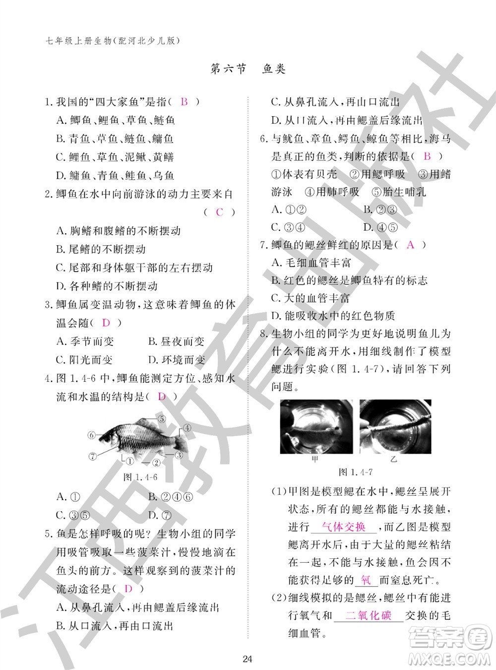 江西教育出版社2023年秋生物作業(yè)本七年級上冊冀少版參考答案