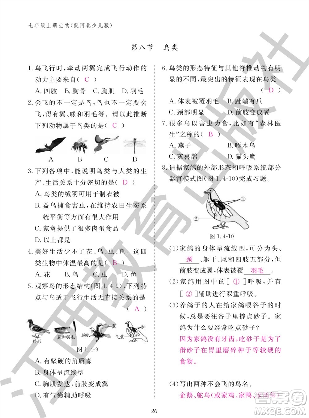 江西教育出版社2023年秋生物作業(yè)本七年級上冊冀少版參考答案