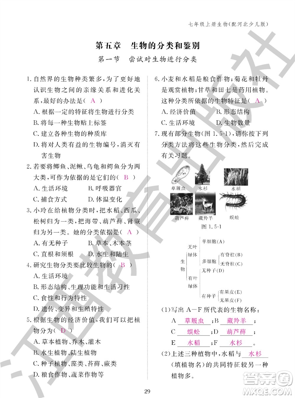江西教育出版社2023年秋生物作業(yè)本七年級上冊冀少版參考答案